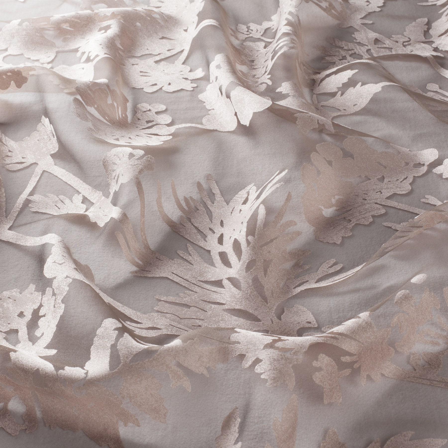 achillea ja8051 060 jab anstoetz 01