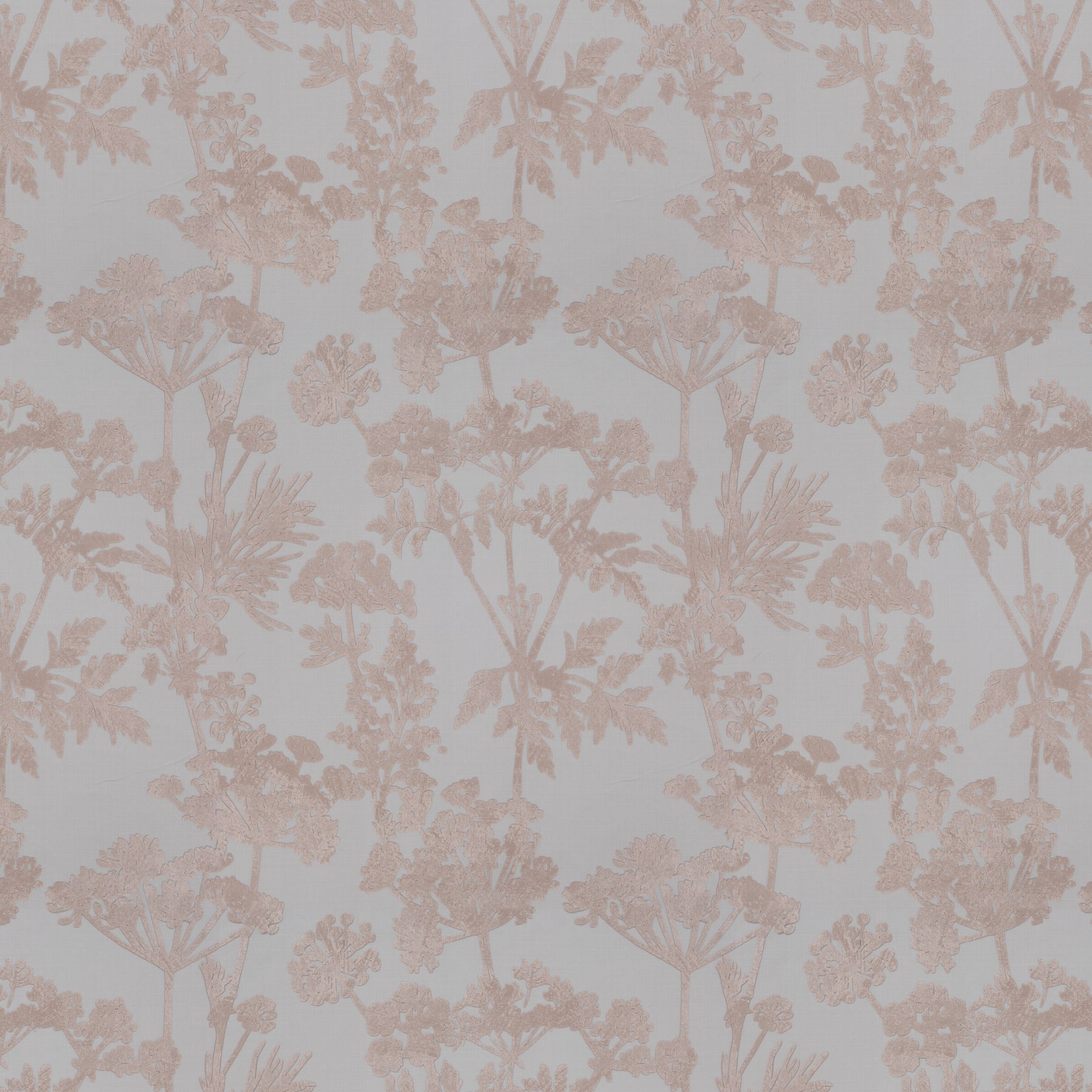 achillea ja8051 060 jab anstoetz 02