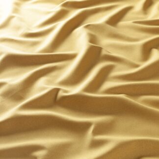 barley ja6073 040 jab anstoetz 01