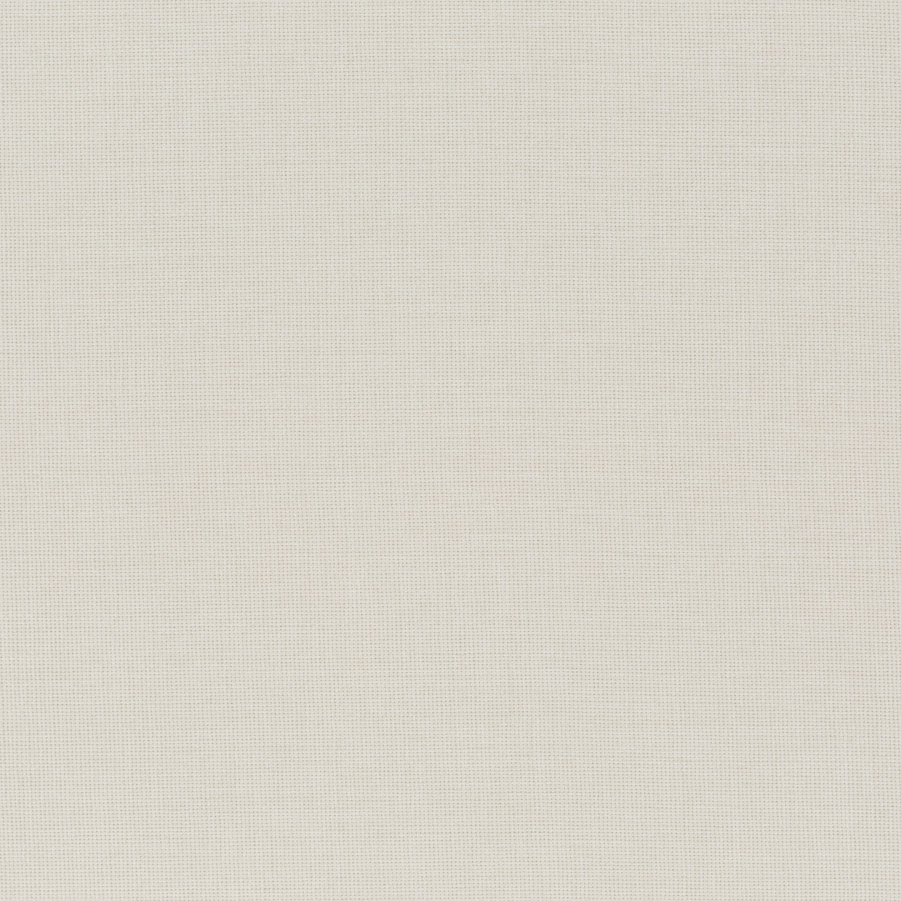 blaze of colour ch3123 071 chivasso 02