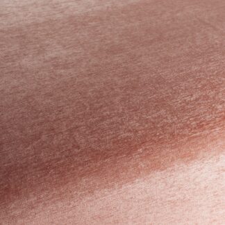 chin chin ch3119 063 chivasso 01