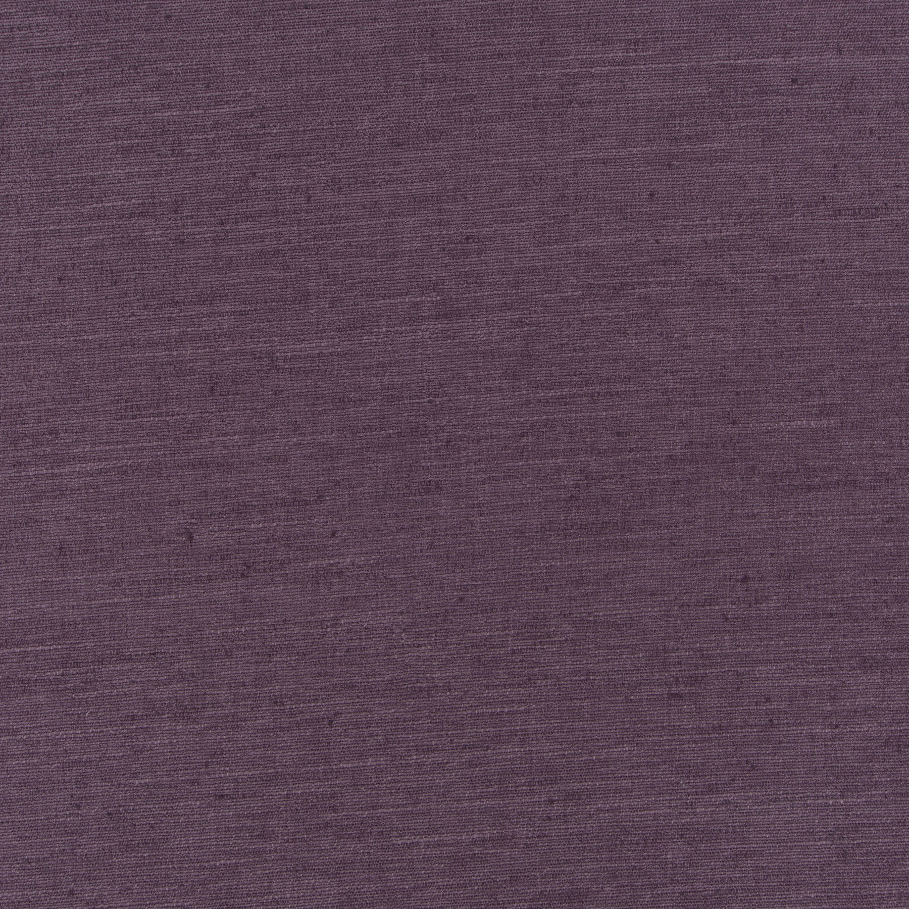 limousin 1 6893 062 jab anstoetz 02