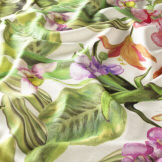 orchid ja8034 060 jab anstoetz 01